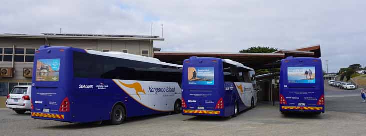 Sealink Scania K360IB Coach Design 57 60 59